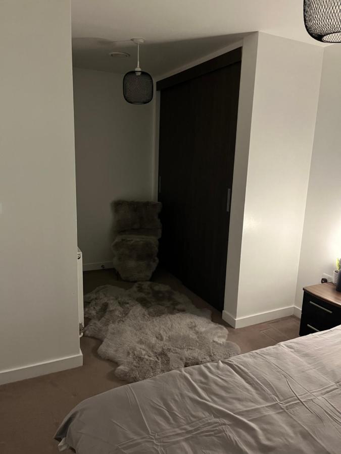 Luxurious Dlr Apartment Лондон Екстер'єр фото